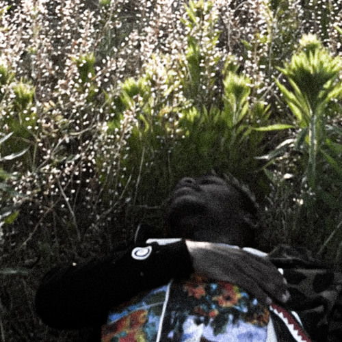 Something NEW slowed