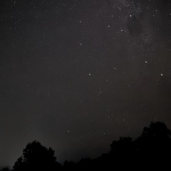 Starlit Skies Kallar Mix