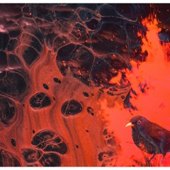 Cuando el Fuego Suena