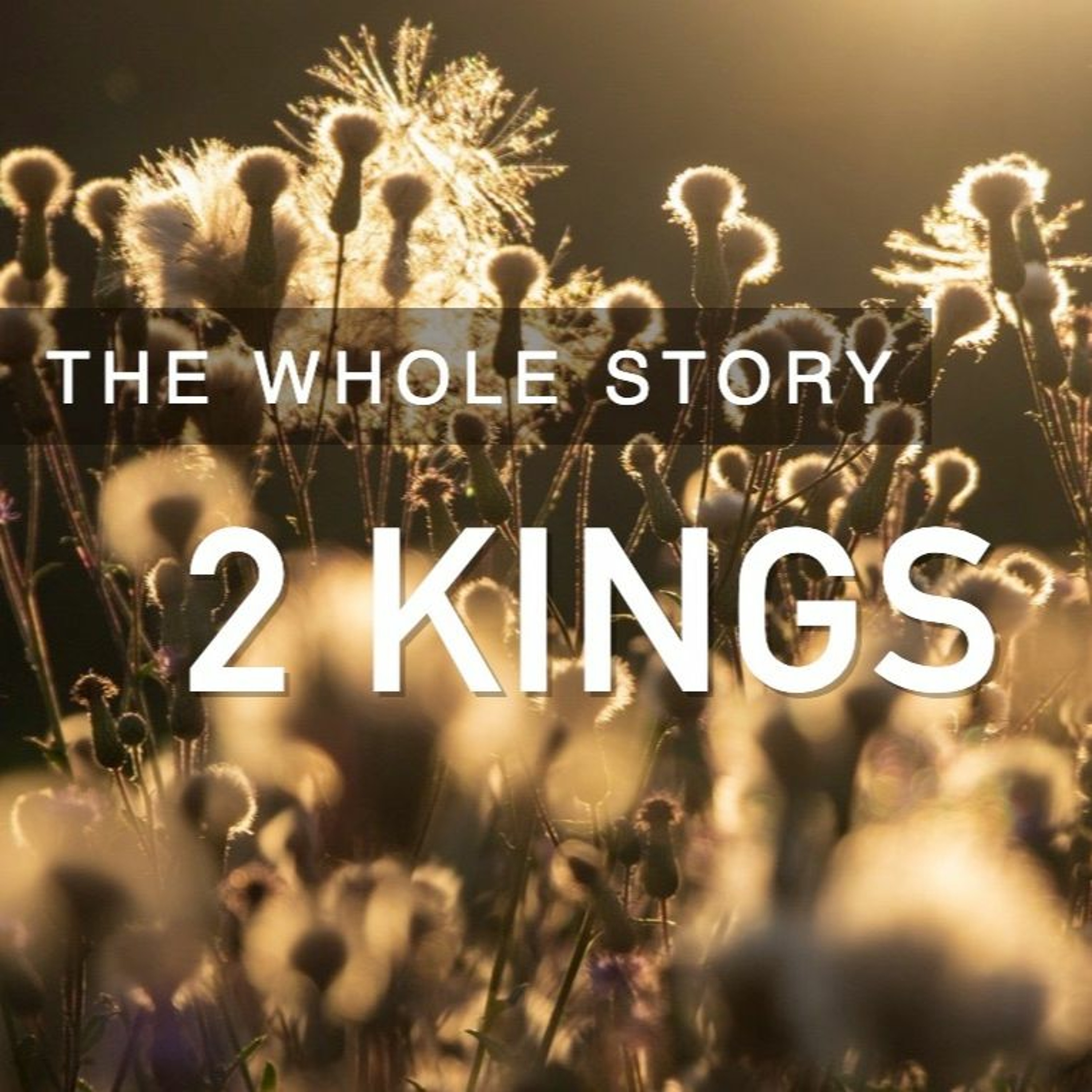 2 KINGS: A Tender Heart - Pastor Tim Knowles (8.2.2020) episode artwork