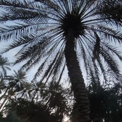 مينورات ابو علي