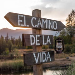 En 2025 ¨me guiará tu mano¨, y, ¨en tu mano están mis tiempos¨