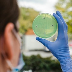 Forskningspodden #32: Hva skal vi gjøre når antibiotika slutter å fungere?