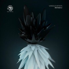 Premiere: Dykkon - U2 [Logical Methods LMD021]