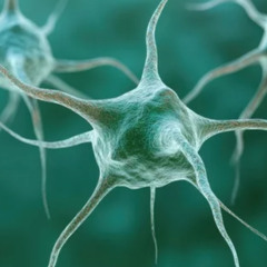 Synaptic (2023)