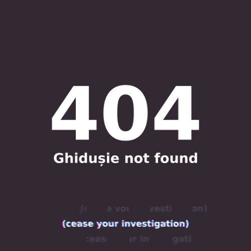#404 Nul Găsesc