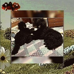 i have no good intentions