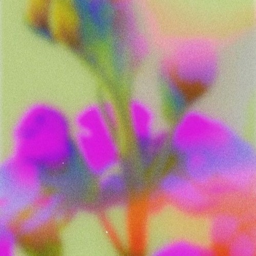Apropri4damente I SlowlyMix EP.13 @FunctionFM