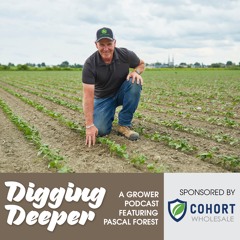 Pascal Forest reflects on the processing vegetable sector