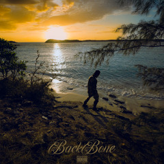 Back Bone