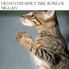 BBC ROBLOX NIGG4S (feat. Matheoproswag)