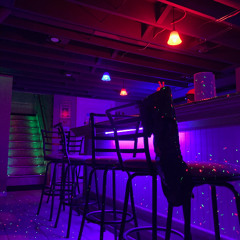 The Bassment Episode 1