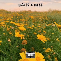 Life Is A Mess