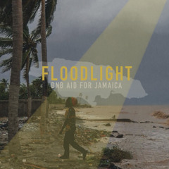 We Are The Heroes Now