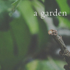 a garden (naviarhaiku623)