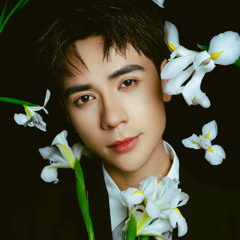 Tinh Dau Qua Chen - Duy Dai Remix 2025
