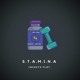 on S.T.A.M.I.N.A [mckeyz Flip]