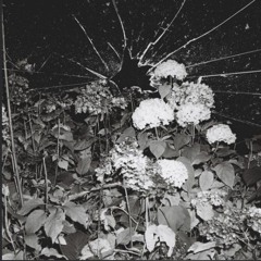 Kontrollverlust - Edwin Rosen (Schranz/Hardtechno Bootleg)