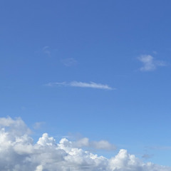 Flying High (Ft. Football Commentators)