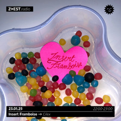 Insert Framboise avec Cilex - 23/01