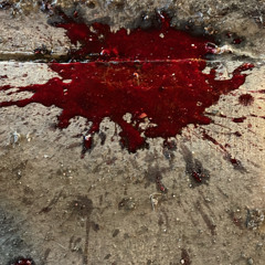 REC011 Xicago Winter 🥰 *smiles*