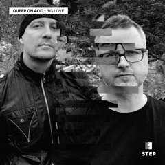Queer On Acid - Big Love [Step Recordings]