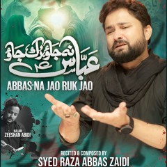 Abbas (a.s) Na Jao Ruk Jao  --  Syed Raza Abbas Zaidi  --  2024