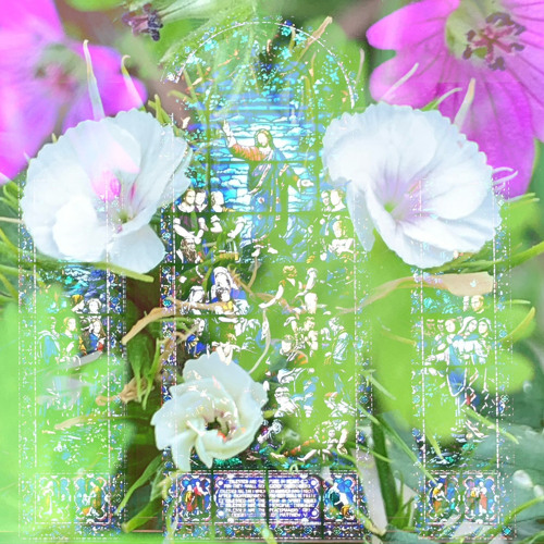 Canvas (2023 Version)