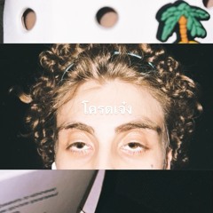 MX