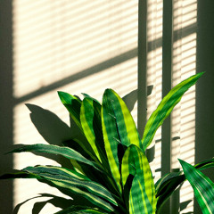 21-06-2025 SPA HOUSE radiokampus.fm