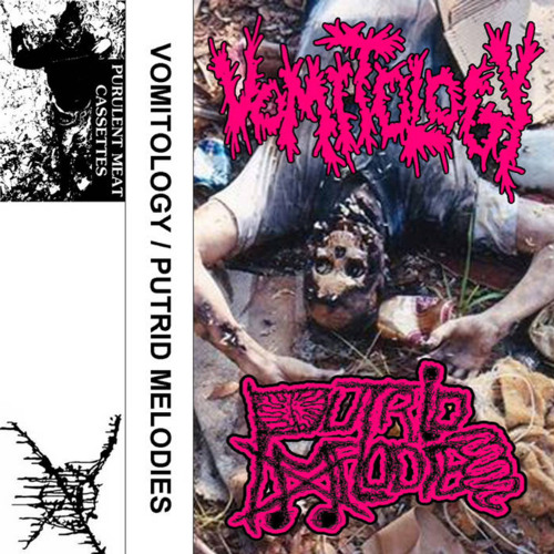 VOMITOLOGY-PUTRID MELODIES SPLIT