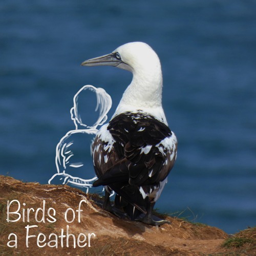 Birds Of A Feather (ft. Bec Hollcraft & Dave McKeown)