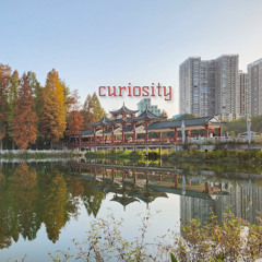 curiosity