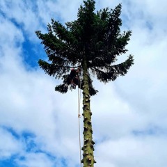 Yung Sinatra - Devils Daughter (unmixed/mastered)