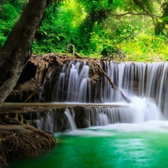 Errol Brown This Time Its Forever (Remix )