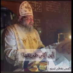 Wisdom Fraction of St. Epiphanius Abouna Boktor Neseem