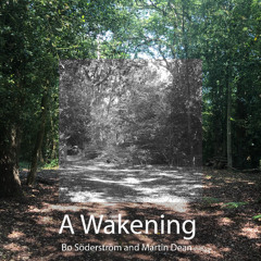 A Wakening