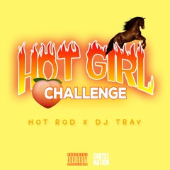 #hotgirlchallenge (jersey club) Meg thee Stallion ft. HotRod & Dj Tray