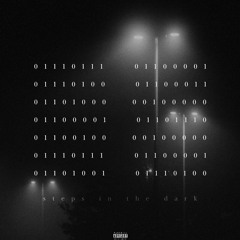 STEPS IN THE DARK (Ft. D010930000) [PROD. Unknwnshi]