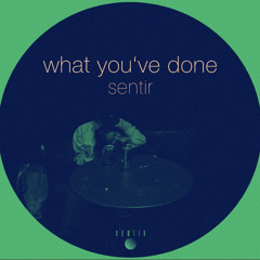 Sentir - What You've Done