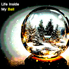 Life Inside My Ball