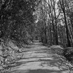 Paxhet - EP1 Something calm