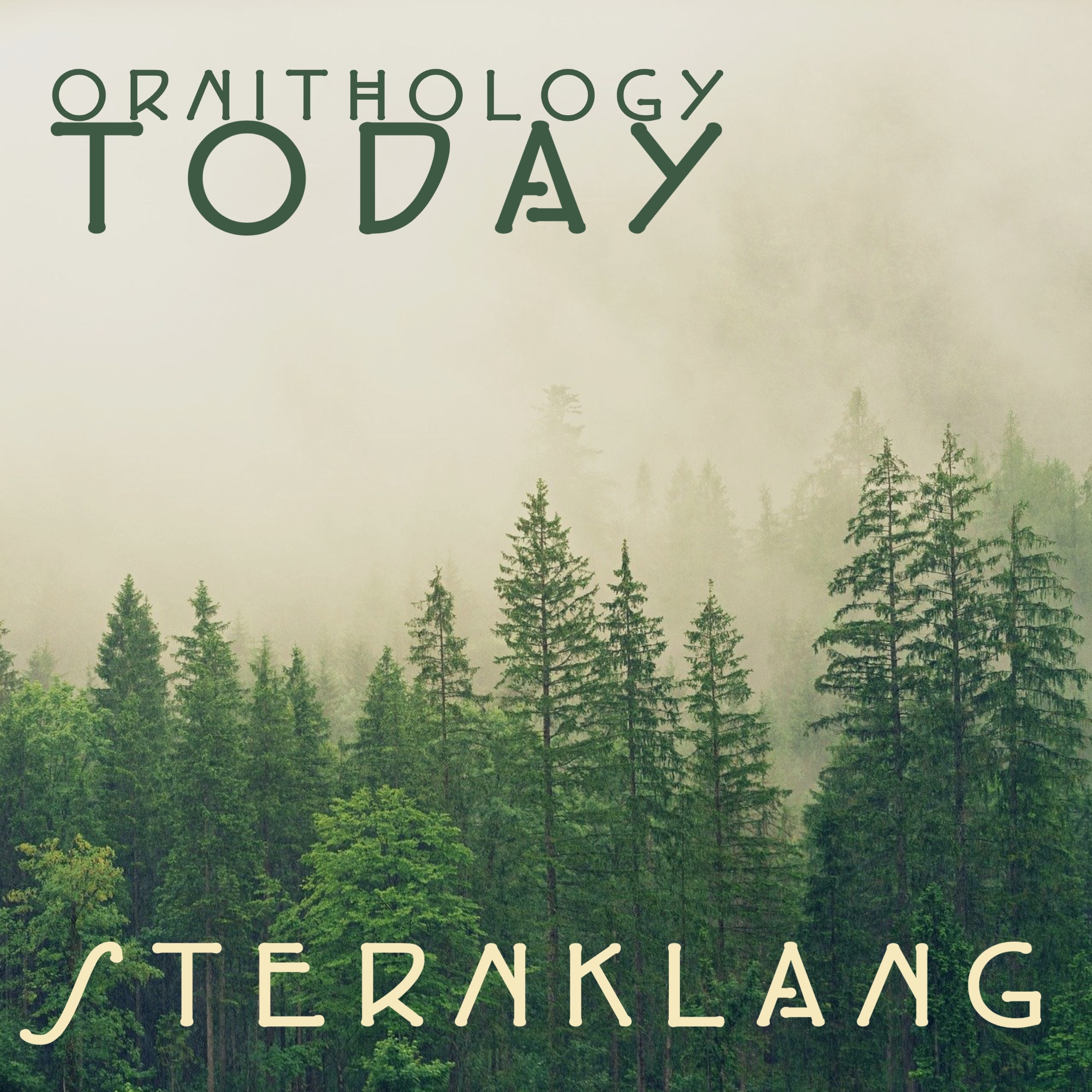 Sternklang