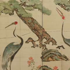 o cravo brigou com a rosa