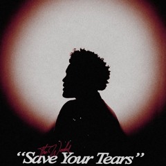 saveurtear(s)