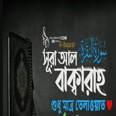 02)সূরা আল বাক্বারাহ | سورة البقرة Surah Al Baqarah | Full বাংলা অনুবাদ HD|