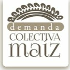 Entrevista: Mercedes López Martínez, CNSMNHP | Demanda Colectiva Maíz, para Boca de Polen.