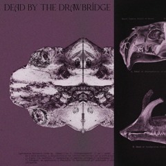 Dead By The Drawbridge