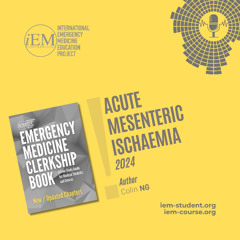 Acute Mesenteric Ischemia (2024)