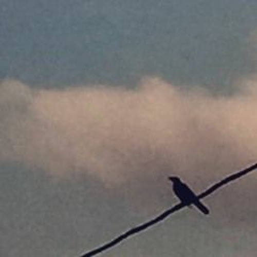 ǝɔɐɟ ƃuol ǝɥʇ ʎɥʍ cover